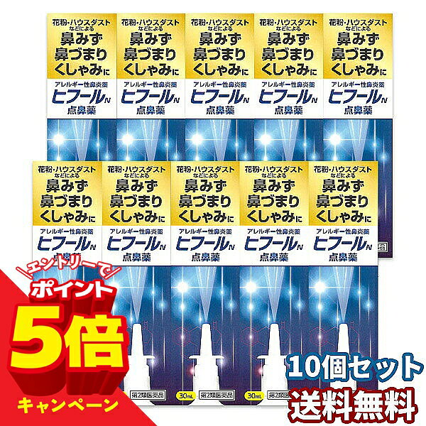 【エントリーでP5倍】【第2類医薬品】ヒフールN点鼻薬 30mL 10本セット ※セルフメディケーション税制対象商品 送料無料 /花粉症 スプレー/花粉症 アレルギー性鼻炎薬 鼻炎スプレー 点鼻薬