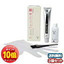 「エントリーでポイント10倍」ファイテン Top-on-Do D (白髪染め) N4:ダークブラウン 送料無料3個セット