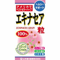 エキナセア粒100％ 70g（250mg×280粒）