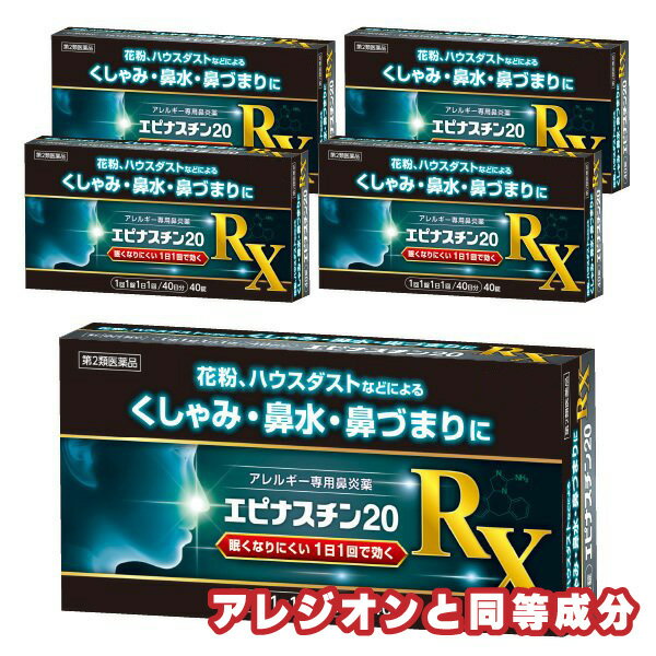 【第2類医薬品】エピナスチン20 RX 40錠 5個セット 