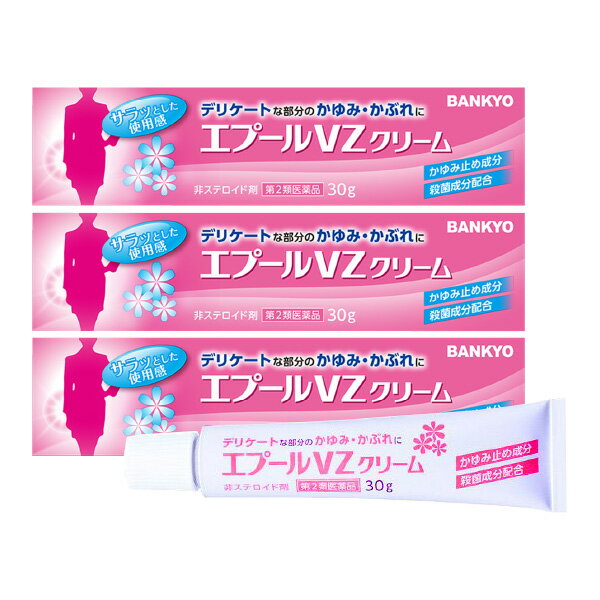 エプールVZクリーム 30g 鎮痒消炎薬 ×3個セット メール便送料無料