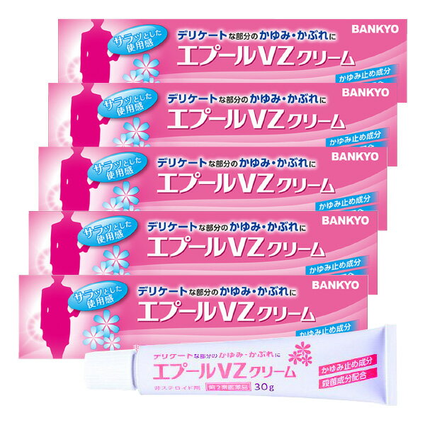 エプールVZクリーム 30g 鎮痒消炎薬 ×5個セット 送料無料 あす楽対応