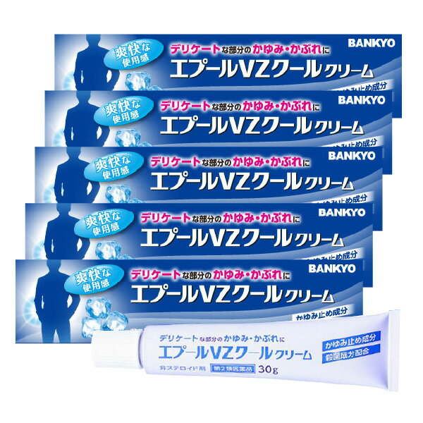 【第2類医薬品】エプールVZクールクリーム 30g 鎮痒消炎薬 ×5個セット あす楽対応 送料無料