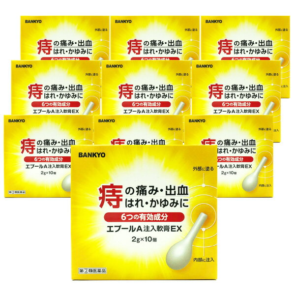 エプールA注入軟膏EX 2g×10個入 10個セット 送料無料 あす楽対応 / 外用痔疾用薬 痔薬 痔 軟膏