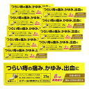 【第(2)類医薬品】エプールH軟膏EXα 25g 10個セット 送料無料 / 外用痔疾用薬 痔薬 痔 軟膏 痔の薬