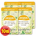 「エントリーでポイント10倍」【第2類医薬品】本草 補中益気湯エキス錠-H 144錠 (12日分) 4個セット 錠剤 送料無料 / ホチュウエッキトウ 補中益氣...
