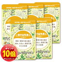 「エントリーでポイント10倍」【第2類医薬品】本草 補中益気湯エキス錠-H 144錠 (12日分) 5個セット 錠剤 送料無料 / ホチュウエッキトウ 補中益氣...