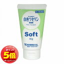 「7/26AM1:59迄エントリーでP5倍」【第3類医薬品】 ケンエー 白色 ワセリン(ソフト) 60g メール便送料無料