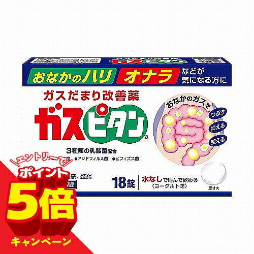 【エントリーでP5倍】【第3類医薬品】 小林製薬 ガスピタン 18錠 メール便送料無料