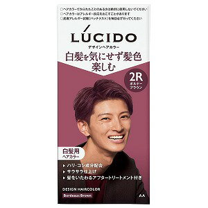 ルシード(LUCIDO) デザインヘアカラー ボルドーブラウン