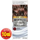 「エントリーでポイント10倍」ビゲン 泡クリームカラー 4W モーヴブラウン