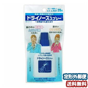 ドライノーズ スプレー 20ml（鼻洗浄） メール便送料無料