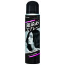 ビューティーン 黒染めスプレー(80g)