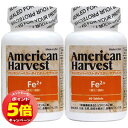 「エントリーでポイント5倍」アメリカンハーベスト Fe2+(鉄+ビタミン&ミネラル) 60粒×2個セット 18221-60(4)