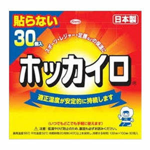 ホッカイロ 貼らない レギュラー(30コ入)