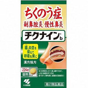  小林製薬 チクナインb　224錠 チクナイン