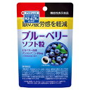 【オリヒロ アウトレット】 ブルーベリーソフト粒 60粒 あす楽対応