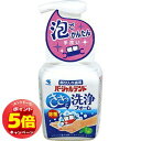 「エントリーでポイント5倍」小林製薬 パーシャルデント 洗浄フォーム ミントの香り(250mL)