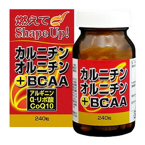 ユウキ製薬 カルニチンオルニチン+BCAA 240粒