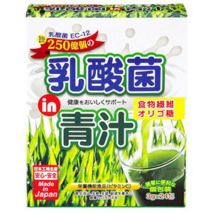 乳酸菌in青汁 24包 乳酸菌in青汁 24包