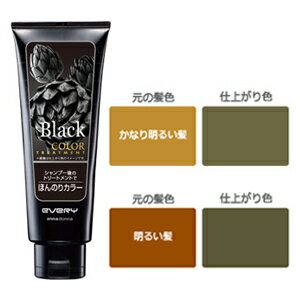 アンナドンナ エブリ カラートリートメント(ブラック) 160g