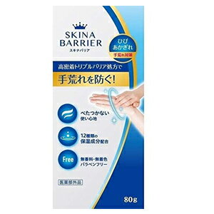 スキナバリア 80g 【医薬部外品】