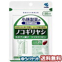 小林製薬 ノコギリヤシ 60粒（約30日分） メール便送料無料