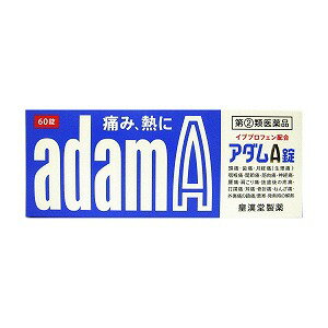 【第（2）類医薬品】 アダムA錠 60錠 ※セルフメディケーション税制対象商品 メール便送料無料