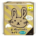 オーガニックコットンナプキン 羽つき(18コ入)