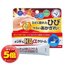 「7/26AM1:59迄エントリーでP5倍」【第3類医薬品】 メンタームHAαクリーム 20g メール便送料無料