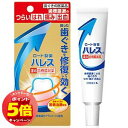 「7/26AM1:59迄エントリーでP5倍」【第3類医薬品】ハレス口内薬 15g×2個セット メール便送料無料