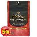 「7/26AM1:59迄エントリーでP5倍」NMN150 プロテオグリカン 28粒入 メール便送料無料