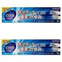 【第2類医薬品】 デリケーションクール 16g×2個セット メール便送料無料