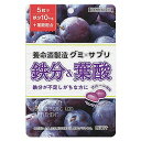 養命酒製造 グミ×サプリ 鉄分＆葉酸 40g メール便送料無料