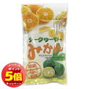 「7/26AM1:59迄エントリーでP5倍」シークワーサーみかん 80g