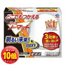 「エントリーでポイント10倍」アース製薬 どこでもつかえるアースノーマット 90日用セット
