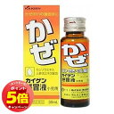 「7/26AM1:59迄エントリーでP5倍」【第(2)類医薬品】カイゲン感冒液小児用 30mL