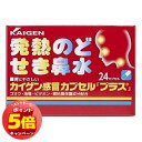「7/26AM1:59迄エントリーでP5倍」【第(2)類医薬品】 カイゲン感冒カプセル「プラス」 24カプセル ※セルフメディケーション税制対象商品 メール便送料無料