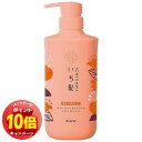 「エントリーでポイント10倍」いち髪 濃密W保湿ケア シャンプー ポンプ 480ml