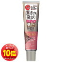 「エントリーでポイント10倍」シエロ カラートリートメント リタッチ用 ナチュラルブラウン 140g