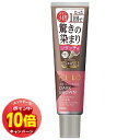 「エントリーでポイント10倍」シエロ カラートリートメント リタッチ用 ダークブラウン 140g