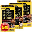 「7/26AM1:59迄エントリーでP5倍」ナットウキナーゼ4000 (60粒)×3個セット