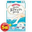 「7/26AM1:59迄エントリーでP5倍」さわやかリフレッシュシート 18枚入