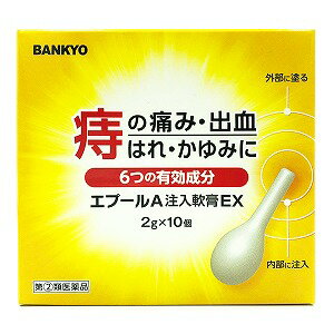 エプールA注入軟膏EX 2g×10個入 / 外用痔疾用薬 痔薬 痔 軟膏 あす楽対応