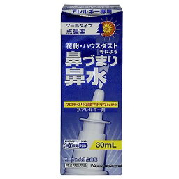 【第2類医薬品】モーテンAG点鼻薬 30ml ※セルフメディケーション税制対象商品