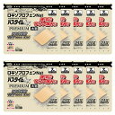 【第2類医薬品】 パスタイムLXプレミアム 大判 (7枚入)×10個セット