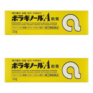 【第(2)類医薬品】ボラギノールA軟膏 20g×2個セット メール便送料無料