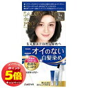 「エントリーでポイント5倍」サロンドプロ 無香料ヘアカラー早染めクリーム 3A(明るいアッシュブラウン)