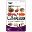 燃ヤセ！ しょうが1500 90粒 メール便送料無料