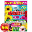 「7/26AM1:59迄エントリーでP5倍」カダン 感動肥料 花用 500g